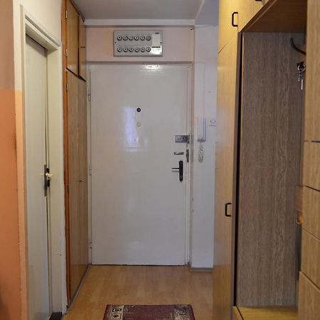 Apartman Nikolic Bor Exteriör bild