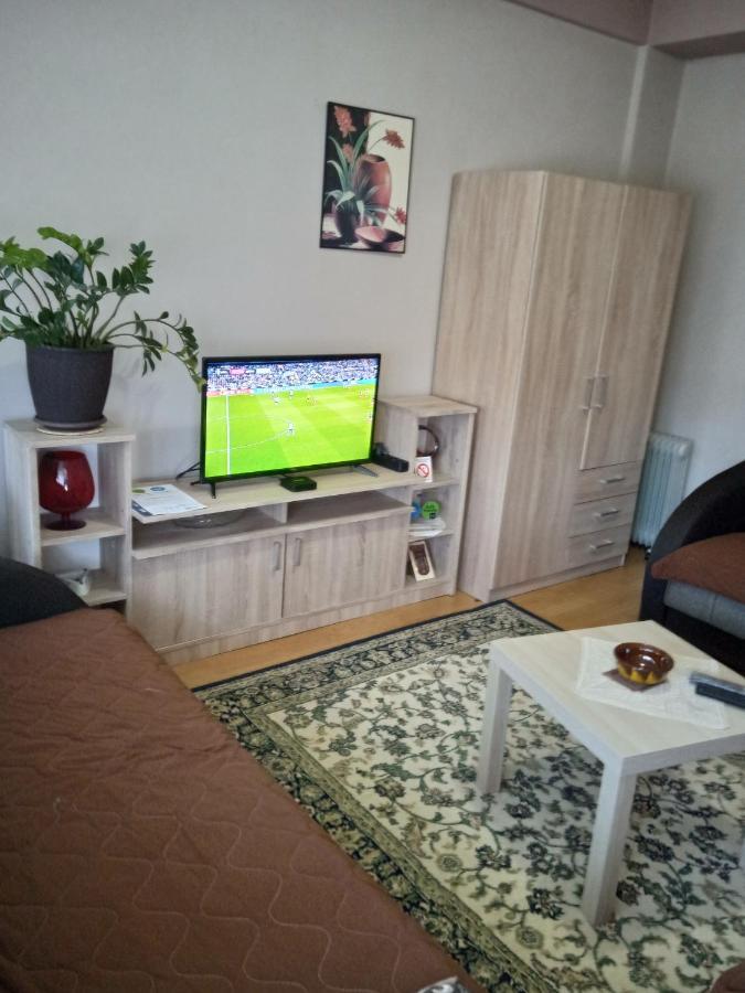 Apartman Nikolic Bor Exteriör bild