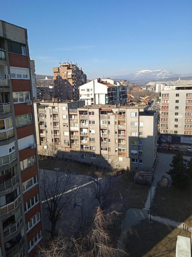 Apartman Nikolic Bor Exteriör bild