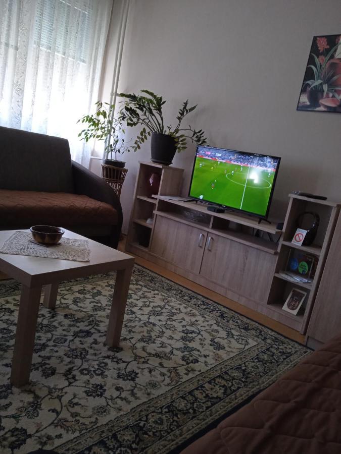 Apartman Nikolic Bor Exteriör bild