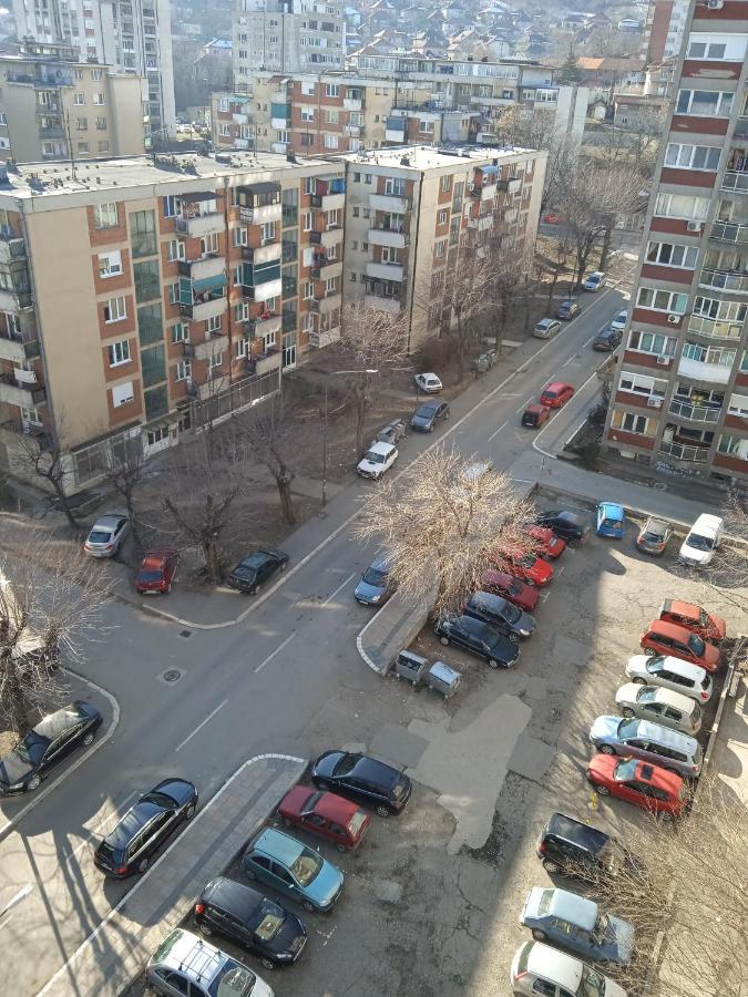 Apartman Nikolic Bor Exteriör bild