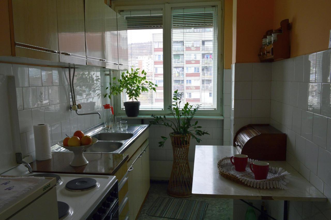 Apartman Nikolic Bor Exteriör bild